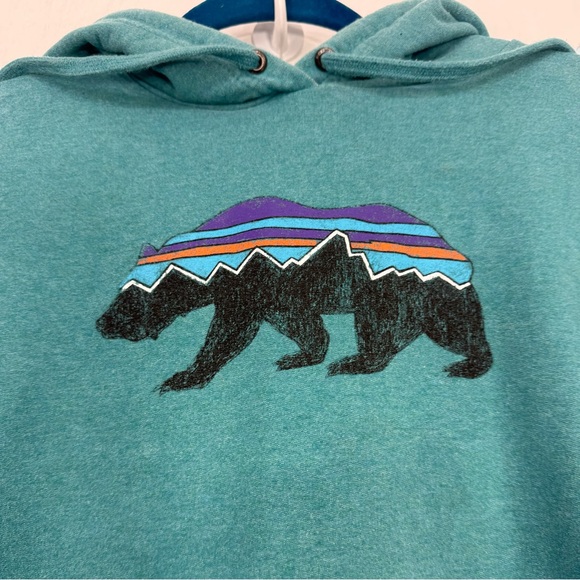 Patagonia Fitz Roy Uprisal Green Mountain Bear Pullover Retro Unisex Hoodie - Picture 7 of 11